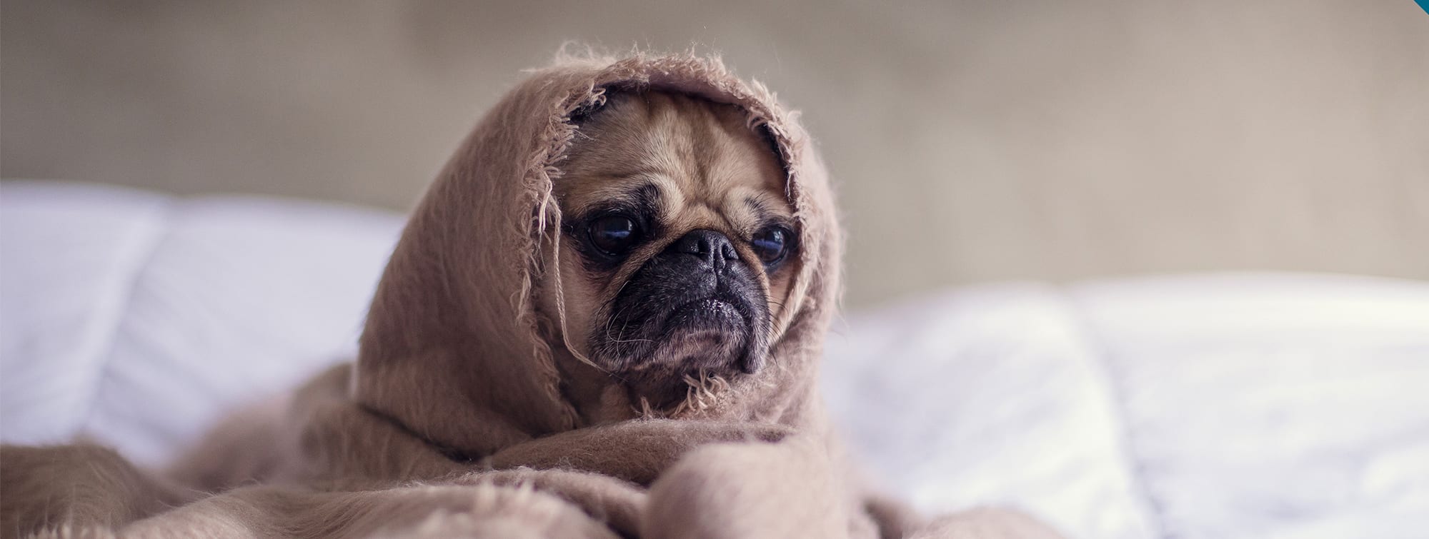 Is too much emotion making our advertising sad?